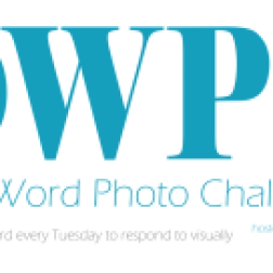 OWPC Logo
